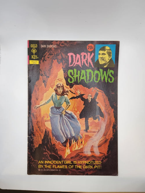 Gold Key ⚜️ Dark Shadows Issue #13 Comic Book