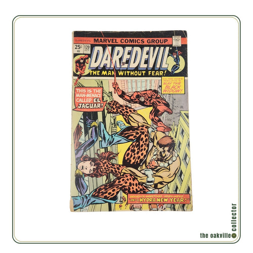 Marvel Comics Daredevil #120 The Man Without Fear Black Widow HYDRA 1975
