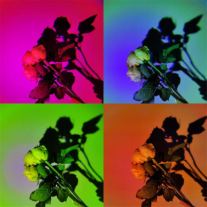 RGB Sunset Projection Lamp | Remote Control Colorful Atmosphere LED Light for TikTok, Room, and Decor