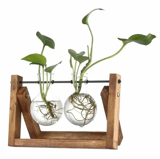Vintage Hydroponic Glass Bulb Vase Planter with Wooden Stand – Desktop Terrarium Home Office Decor