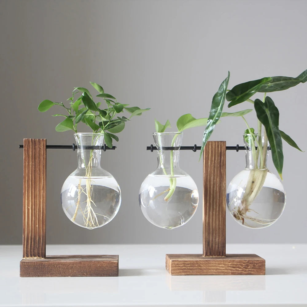 Vintage Wood & Glass Terrarium Planter – Tabletop Hydroponic Vase