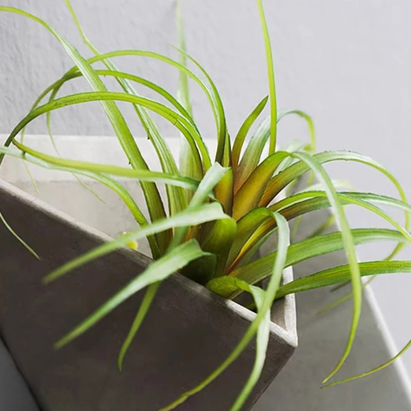 Modern Cement Wall Vase Planter – Decorative Hanging Indoor Flower Pot